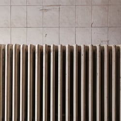 La décote brune inquiète les propriétaires